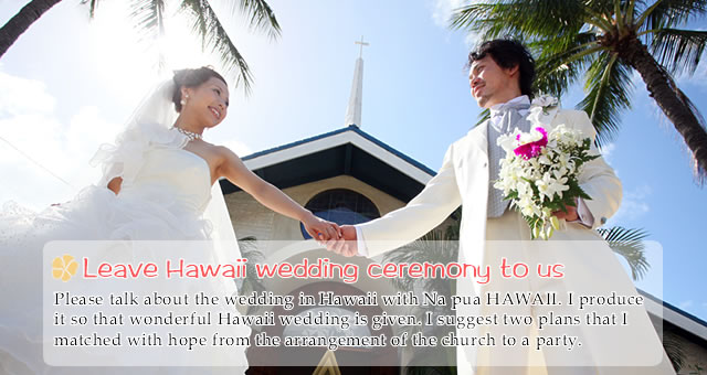 Hawaii Wedding